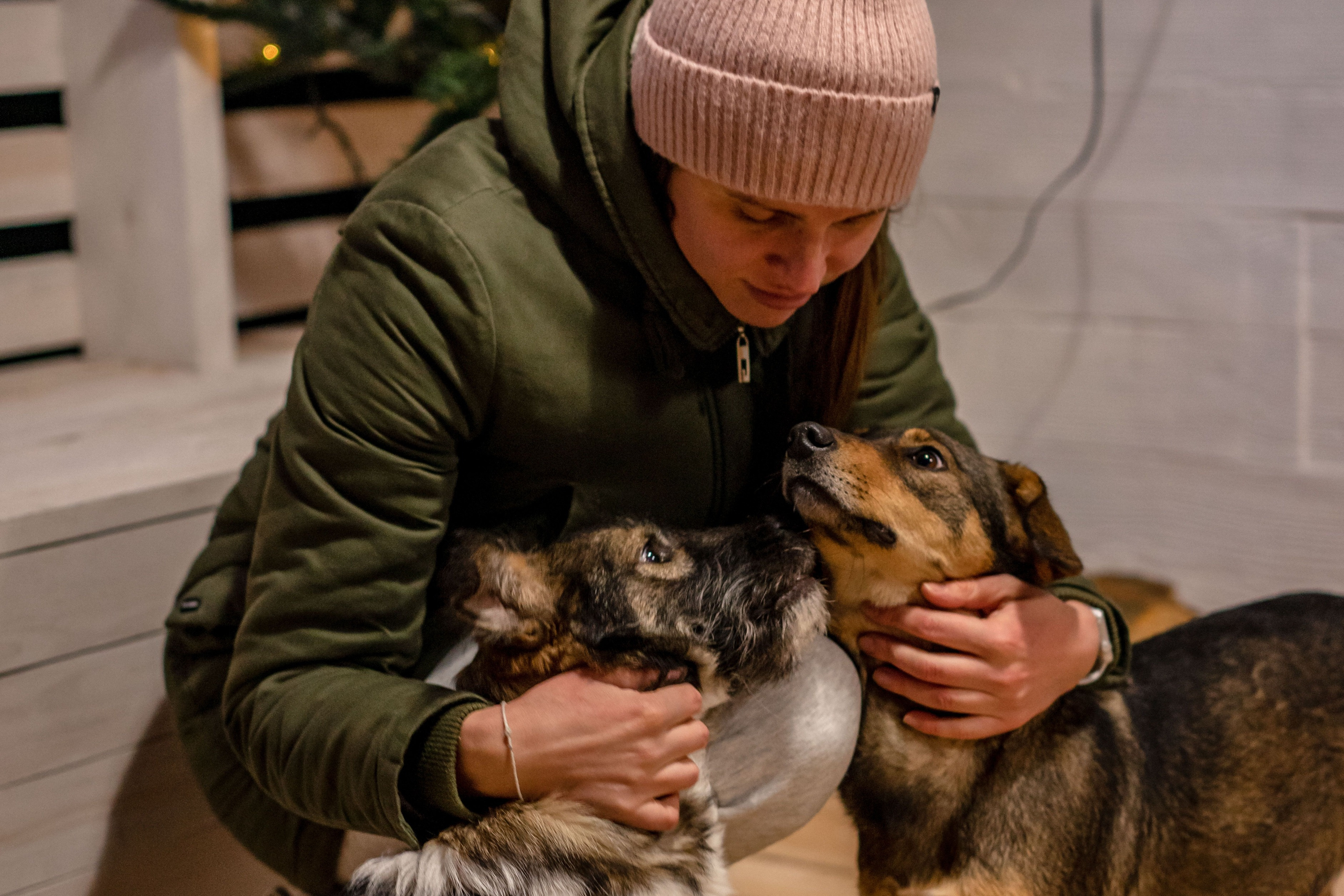 caring for a loved ones pets